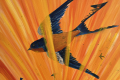 03-Scott-Porcelli-_-Golden-Hour-Swallows