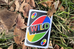 Joseph-Iacona-_-Wild