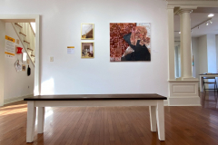 Gallery view (L-R), Wolf Stairs and Wolf St. Dining, Sue Liedkek, Not Fake, Carolyn Kline-Coyle