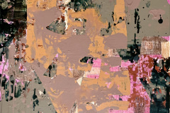 burning down the house 2024