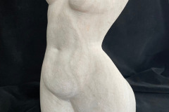 Torso_3